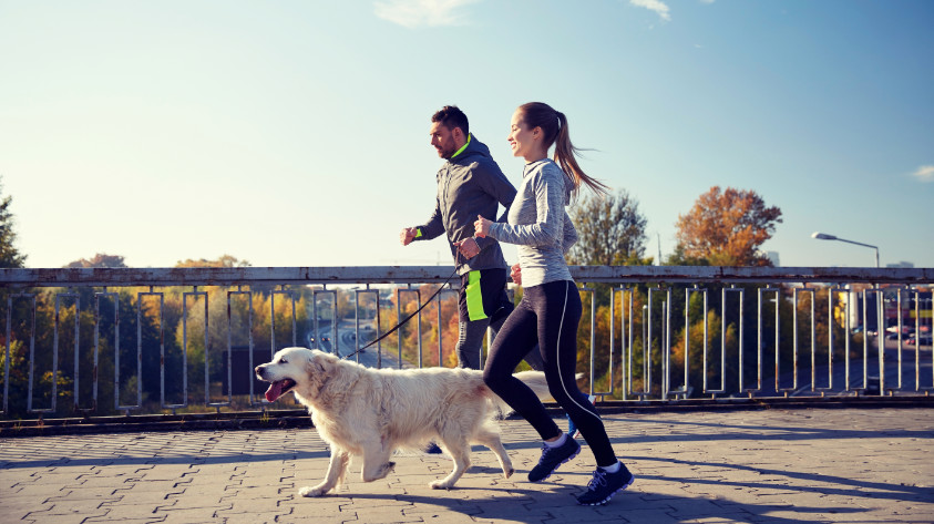 Joggen mit Hund